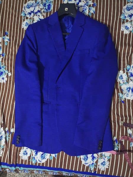 3. piece Royal blue pent coat 2