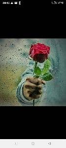 Syed Haroon Shah