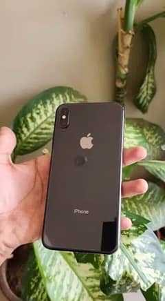iPhone