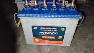 2 x Tubular Battery (Phoenix TX1000)