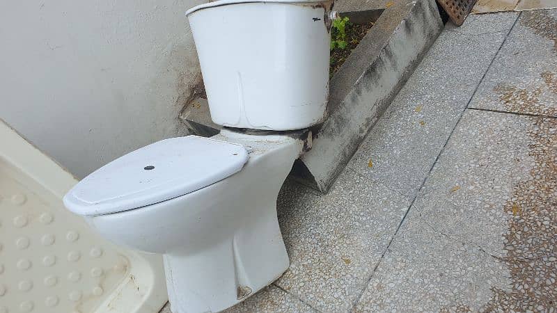 toilet seat 0