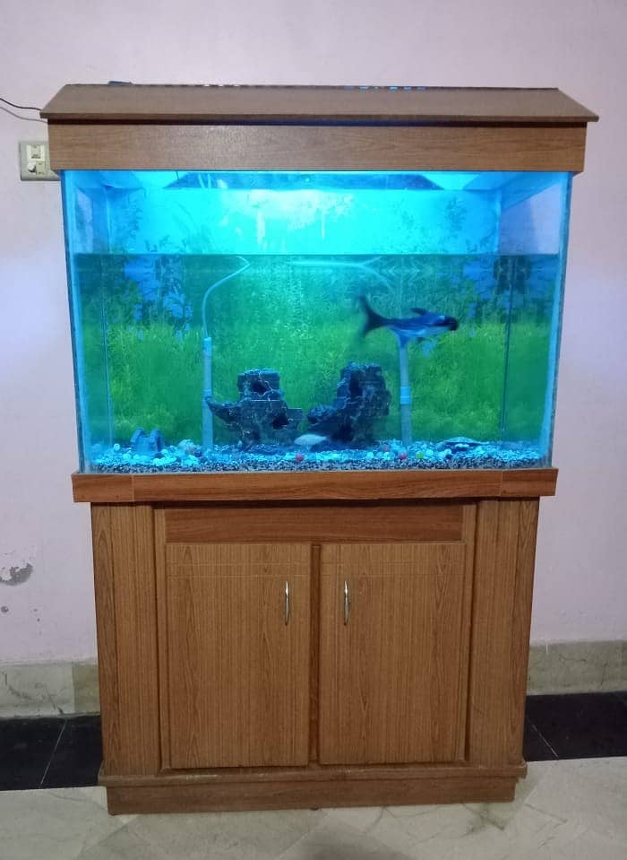 Aquarium | Fish Aquarium | Fish Tank 3