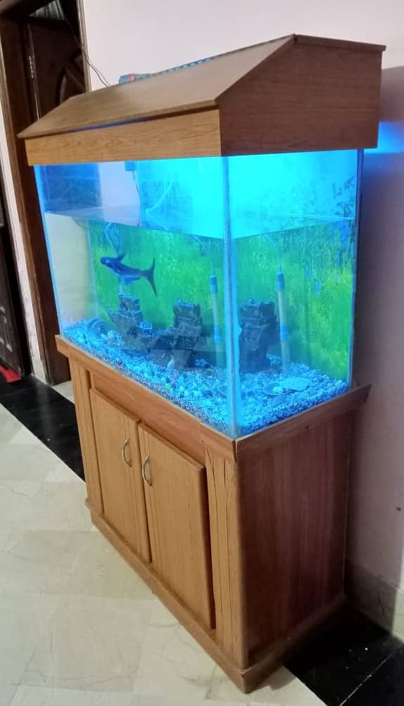Aquarium | Fish Aquarium | Fish Tank 1