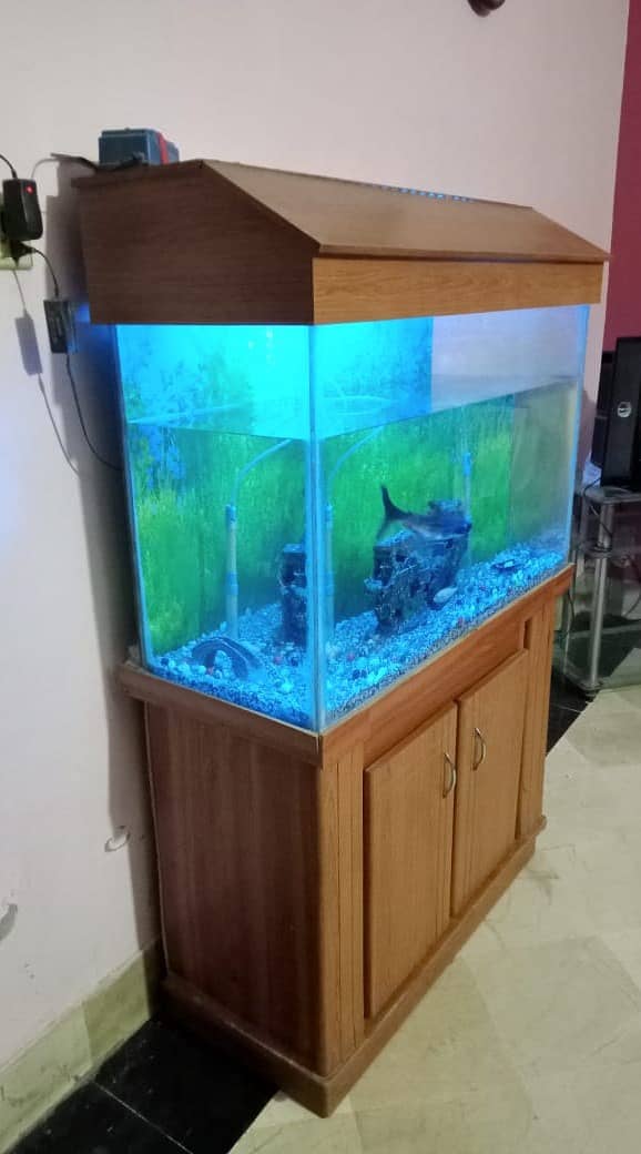Aquarium | Fish Aquarium | Fish Tank 2