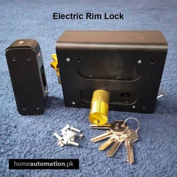 electric main gate lock, video door bell/ finger access control system 5