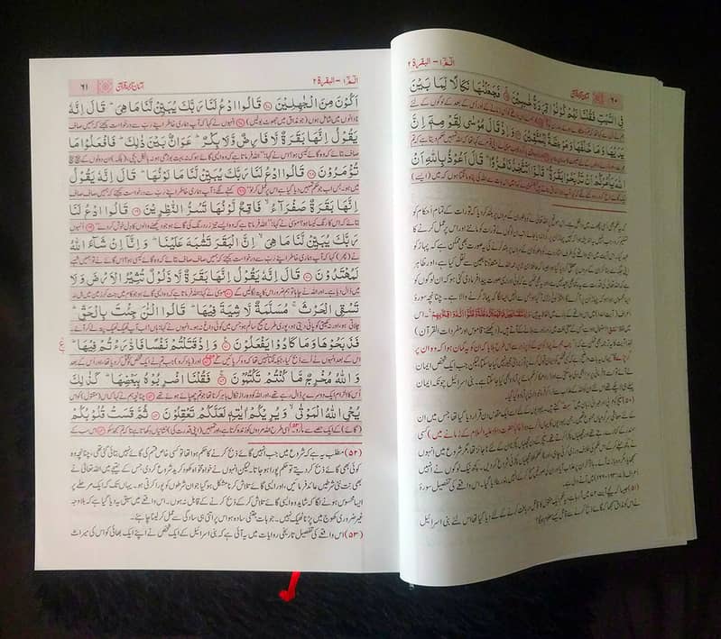 Aasan Tarjuma Quran By Mufti Taqi Usmani 2