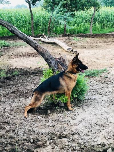 seriously people contect me only