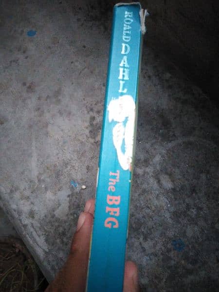 The BFG
Novel by Roald Dahl 2
