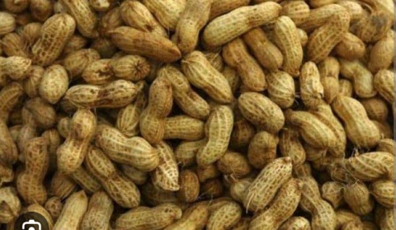 peanut. dry fruit. mong fali . peanut for sale 1