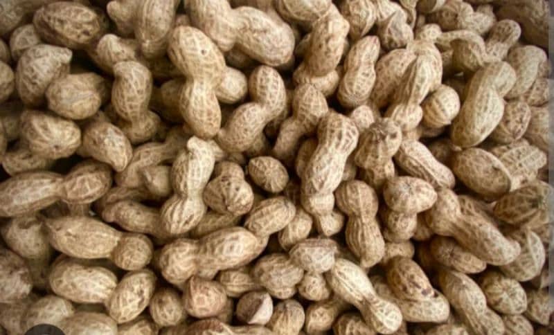 peanut. dry fruit. mong fali . peanut for sale 2