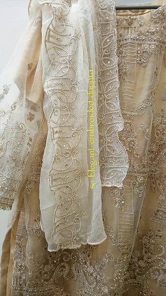 heavily embroided golden dress 5