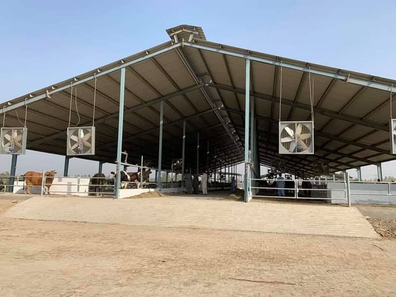 Industrial, factory, dairy farm,warehouse sheds steel structures 1
