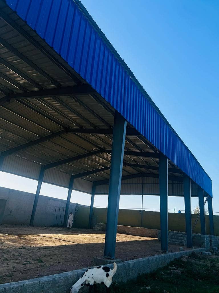 Dairy farm parking sheds big steel structure and container office 2