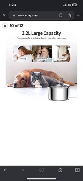 Pet Water drinking Fountain For Dogs, Cats & Birds Cage03228580862 4