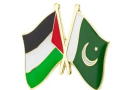 Palestine Pakistan dual flag coat pin