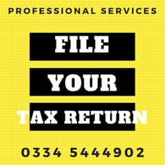 PROFESSIONAL Income Tax Returns filing