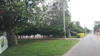 Corner