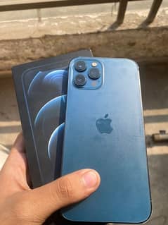 iphone 12 pro pta olx lahore