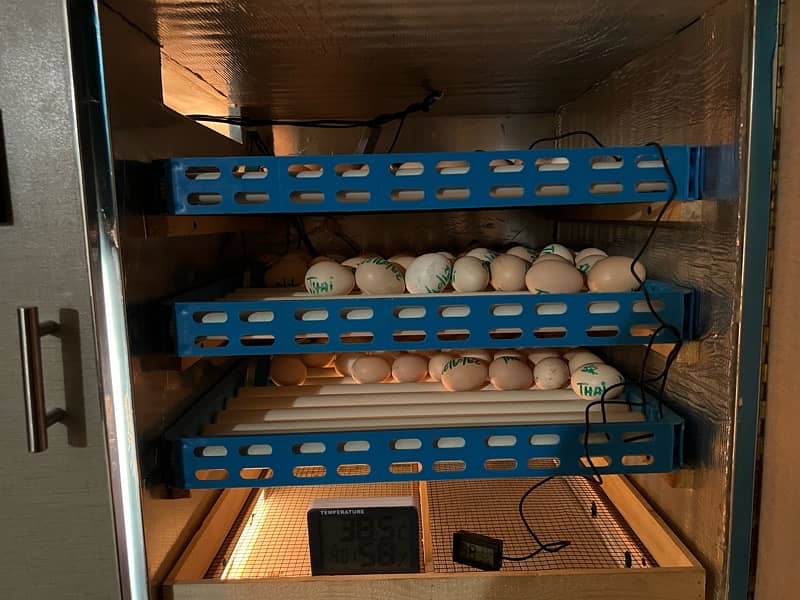 360 Eggs fully automatic Incubator 7