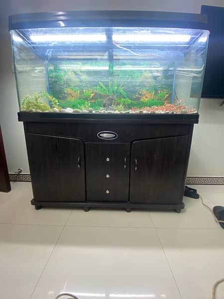 Aquarium Imported Minjiang 4 feet Fish 1