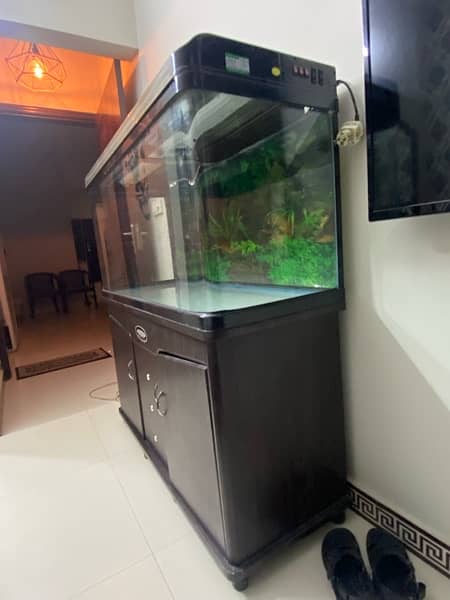 Aquarium Imported Minjiang 4 feet Fish 3