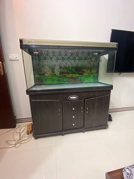 Aquarium Imported Minjiang 4 feet Fish 0