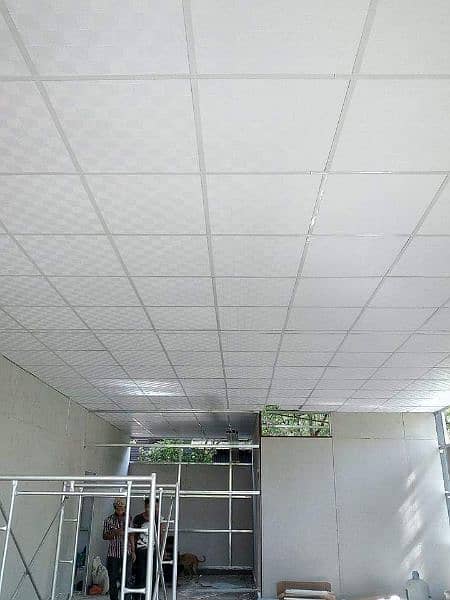 False Ceiling / Wall panels / Wood Flooring / Dampa Ceiling 2