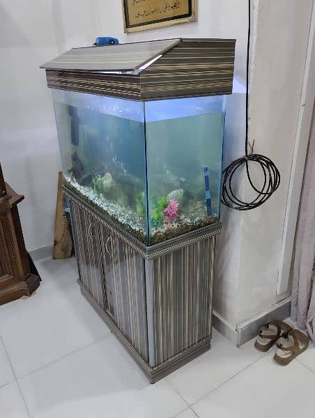 Fish aquarium 2