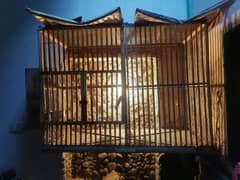 used cage 2*3*4