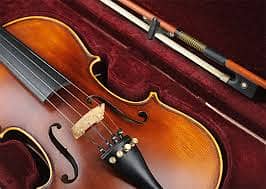 HQ violins collection at Acoustica guitar shop 1