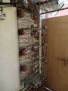 Cage for sale with parrots and full setup