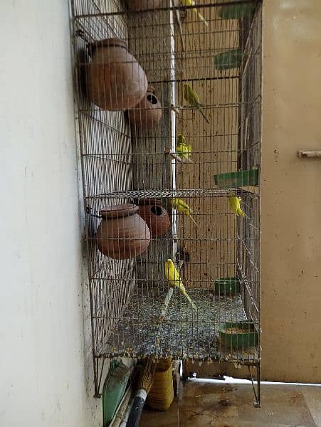 Cage for sale with parrots and full setup 7