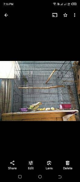 ra parrot folding cage with try 0