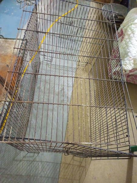 ra parrot folding cage with try 2