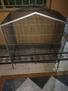 Exchange possible with phone cocktail parrot available for sale