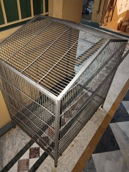 Exchange possible with phone cocktail parrot available for sale 1