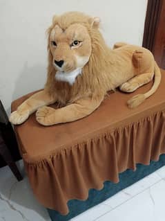 staff Lion