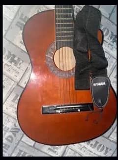 acoustic guitar best for beginners