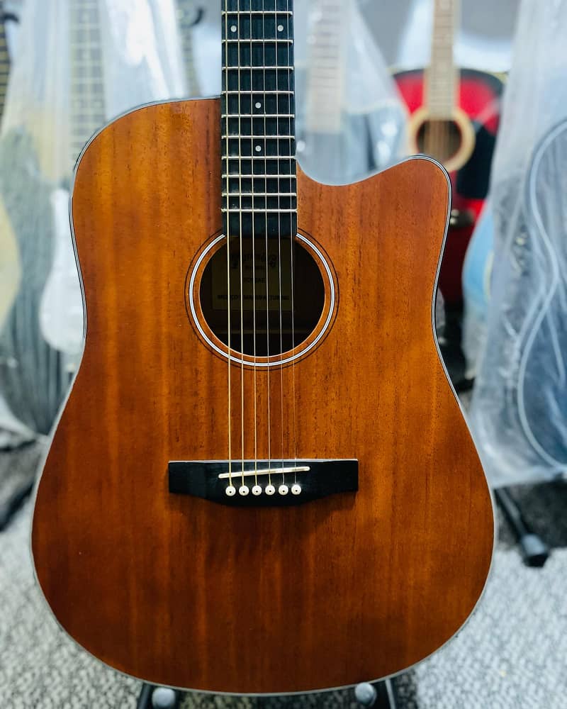 Martin & Co Semi Acoustic guitar (brand new) 12