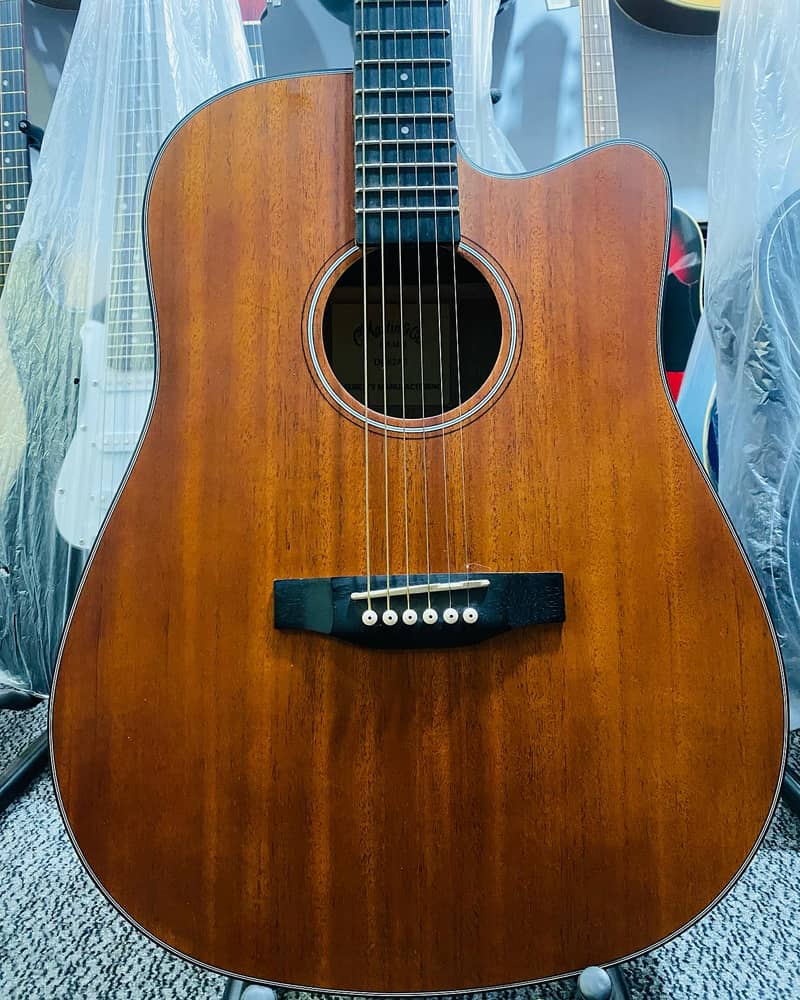 Martin & Co Semi Acoustic guitar (brand new) 4