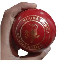 kooka bura regulation brand new hard ball home delivery
