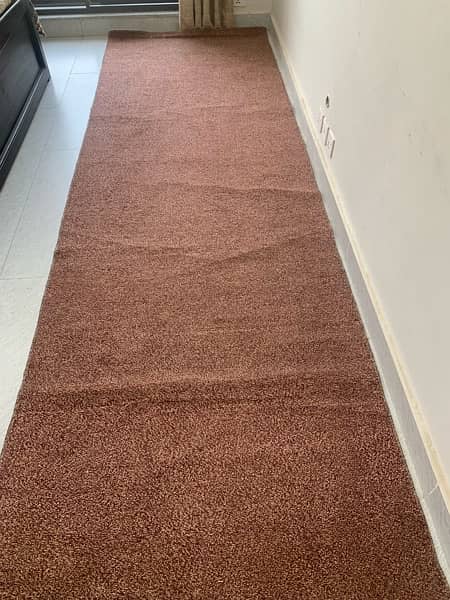 Maroon carpet 0