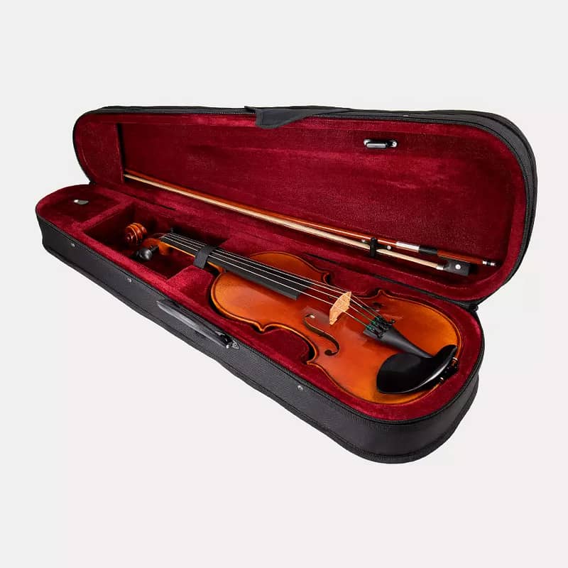 Professional Violin 4/4 Size All Accessories For Beginners To Advance 1