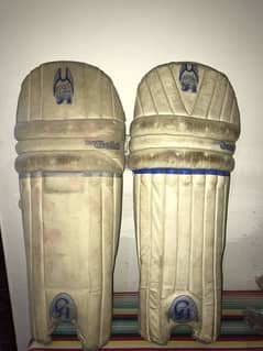 cricket kit pads CA large size