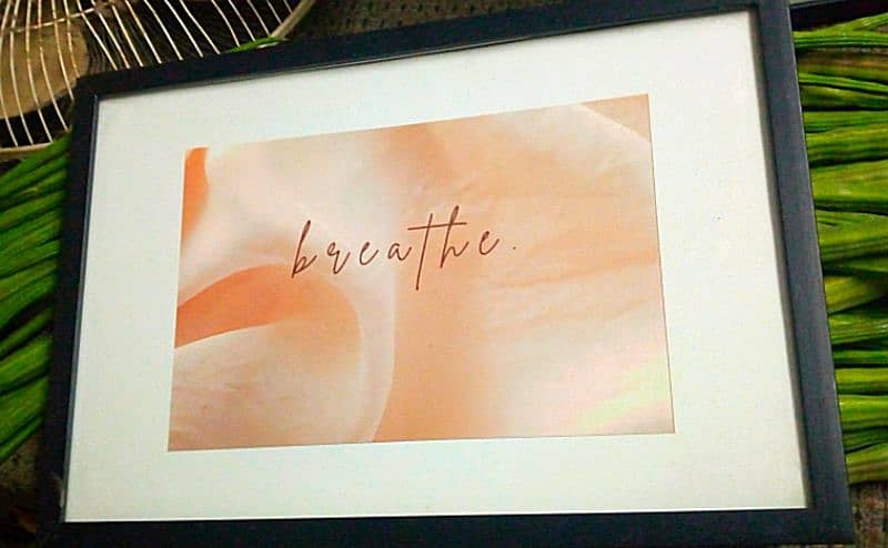 Famous Quote Frames 1
