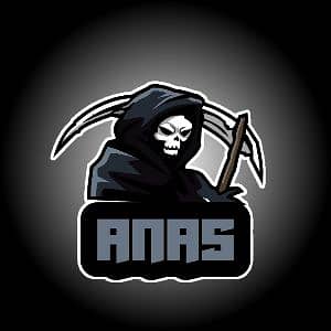 Anas Shaikh