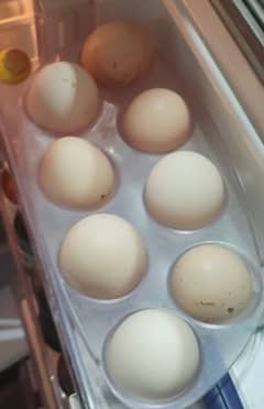 Desi eggs