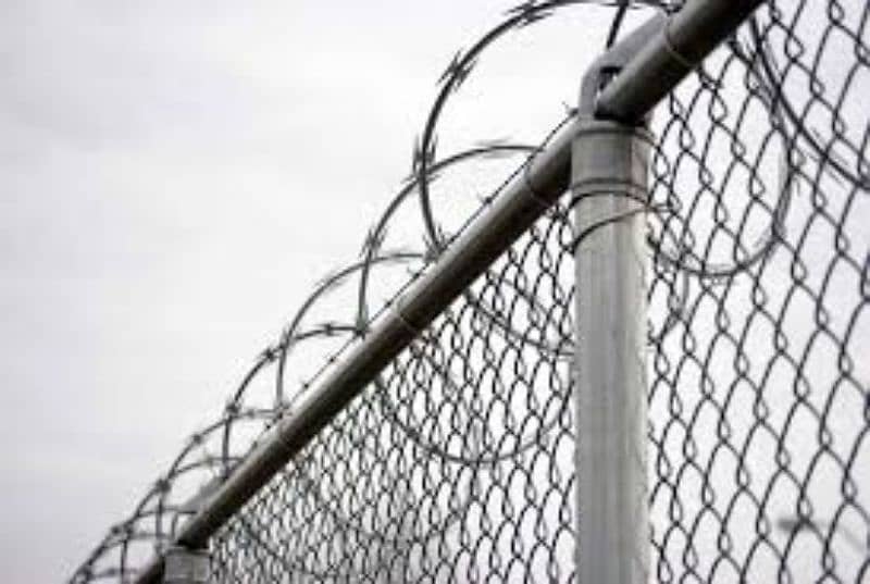 Razor wire for sale / All type of Fence are Available / Chain link 2