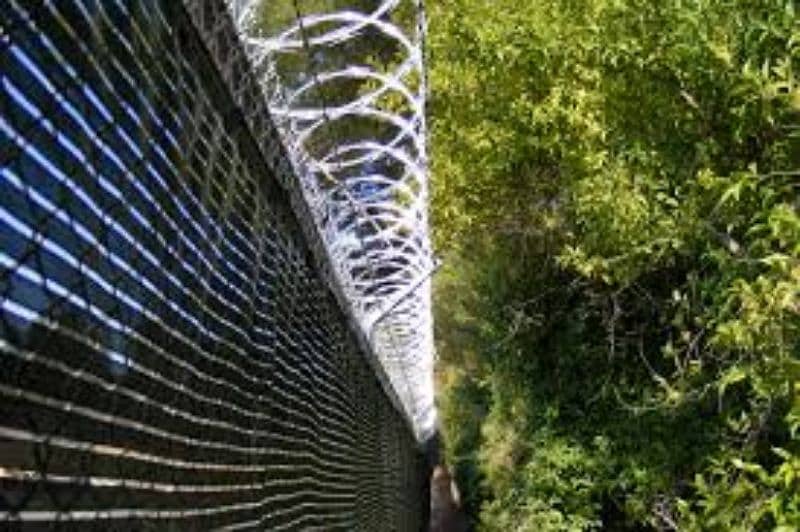 Razor wire for sale / All type of Fence are Available / Chain link 4