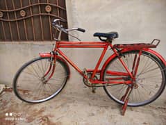 Sohrab best sale cycle olx